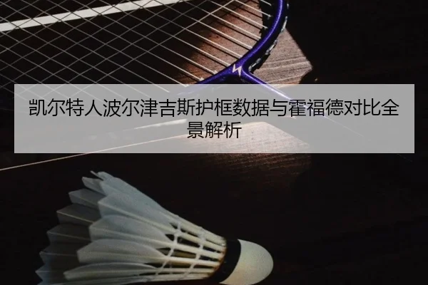 凯尔特人波尔津吉斯护框数据与霍福德对比全景解析